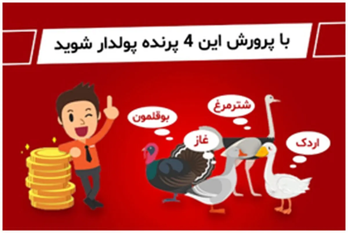 با پرورش این 4 پرنده حسابی پولدار شوید!