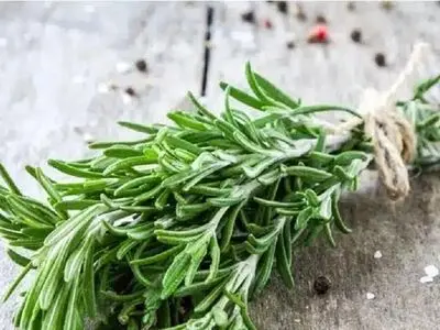 با این گیاه از خستگی و بی‌حالی خداحافظی کنید 
