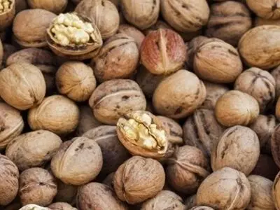 ۸ خوراکی برتر برای بهبود کیفیت خواب