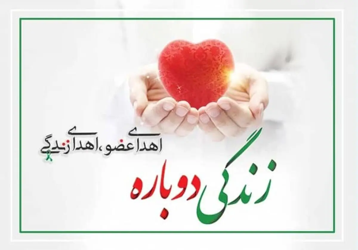 اعضای ۲ بیمار مرگ مغزی هرمزگانی زندگی بخش شد