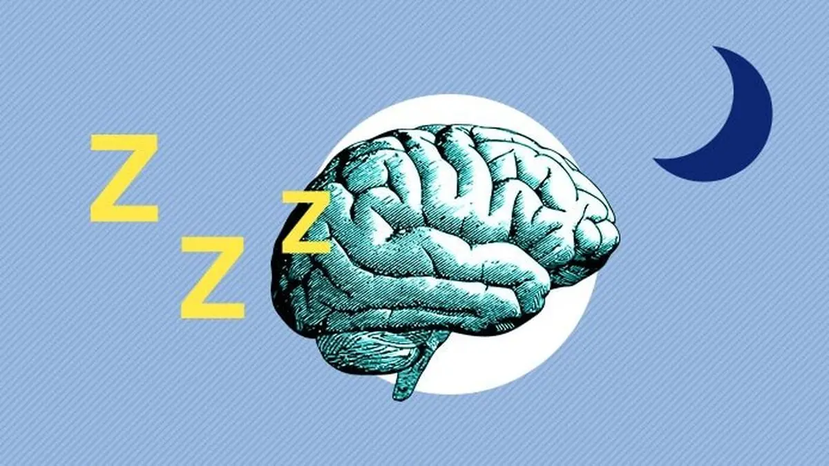راههای حفظ سلامت مغز؛ ورزشهای مخصوص مغز کدامند؟/ این عطرها مقوی مغز هستند