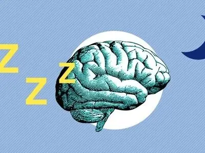 راه‌های حفظ سلامت مغز؛ ورزش‌های مخصوص مغز کدامند؟/ این عطرها مقوی مغز هستند