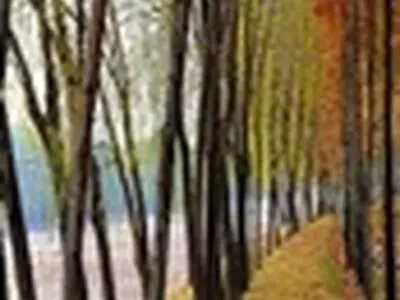 ریه‌های شهر اصفهان در حال نابودی است