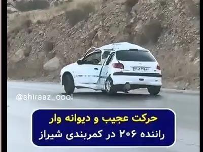 حرکت عجیب راننده ۲۰۶ در کمربندی شیراز + فیلم