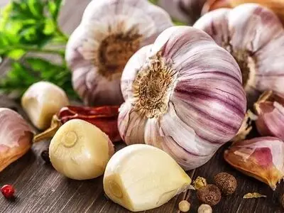 سیر را اشتباه نگهداری نکن!