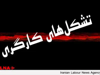 تشکل‌های کارگری در استان از قدرت چانه زنی بی‌بهره هستند/جای خالی امنیت برای تشکل های کارگری