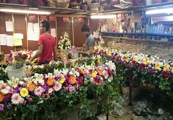 کسادی بازار گل در شرایط کرونا بدتر از زمان جنگ/ در ماه‌های آتی بازار بهبود نمی‌یابد