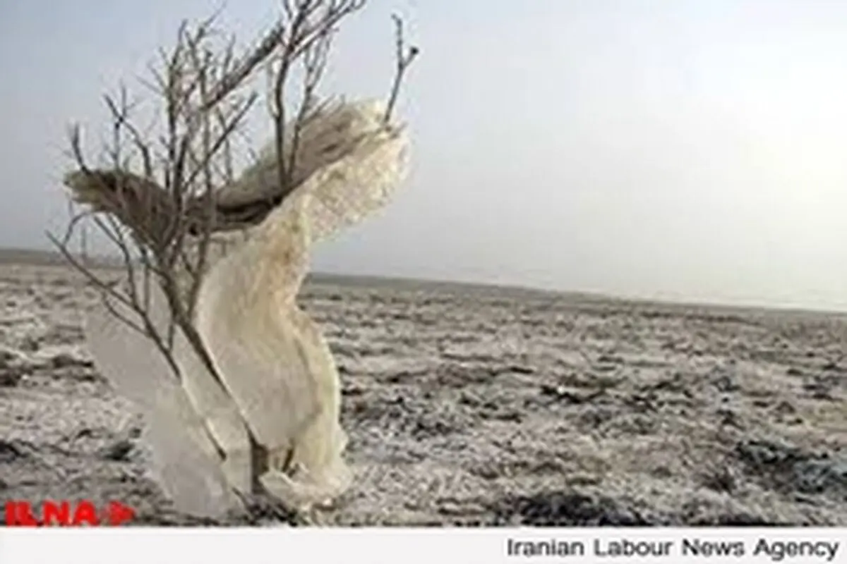 خطری که همچنان کنار گوش «هامون» است