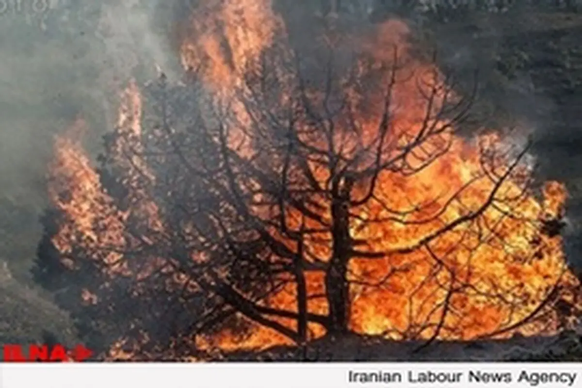 جای خالی هلیکو‌پترهای آب پاش برای نجات پارک ملی گلستان
