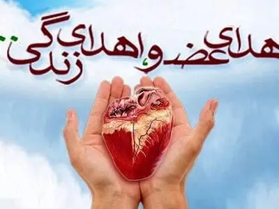 جوان ۲۱ ساله کهگیلویه و بویراحمدی جان سه بیمار نیازمند را نجات داد