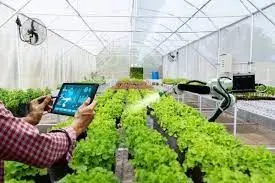 انقلاب بهره‌وری در بخش کشاورزی با بکارگیری هوش مصنوعی