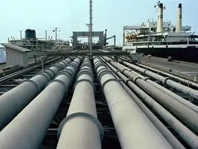 Iran has great potential in the field of gas: expert