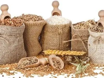 رکورد افزایش تولید غلات در جهان بهای مواد غذایی را کاهش داد