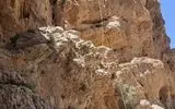 امداد گران چهارمحال و بختیاری به طبیعت‌گرد گرفتار در کوه‌های تنگ درکش ورکش امداد رسانی کردند 