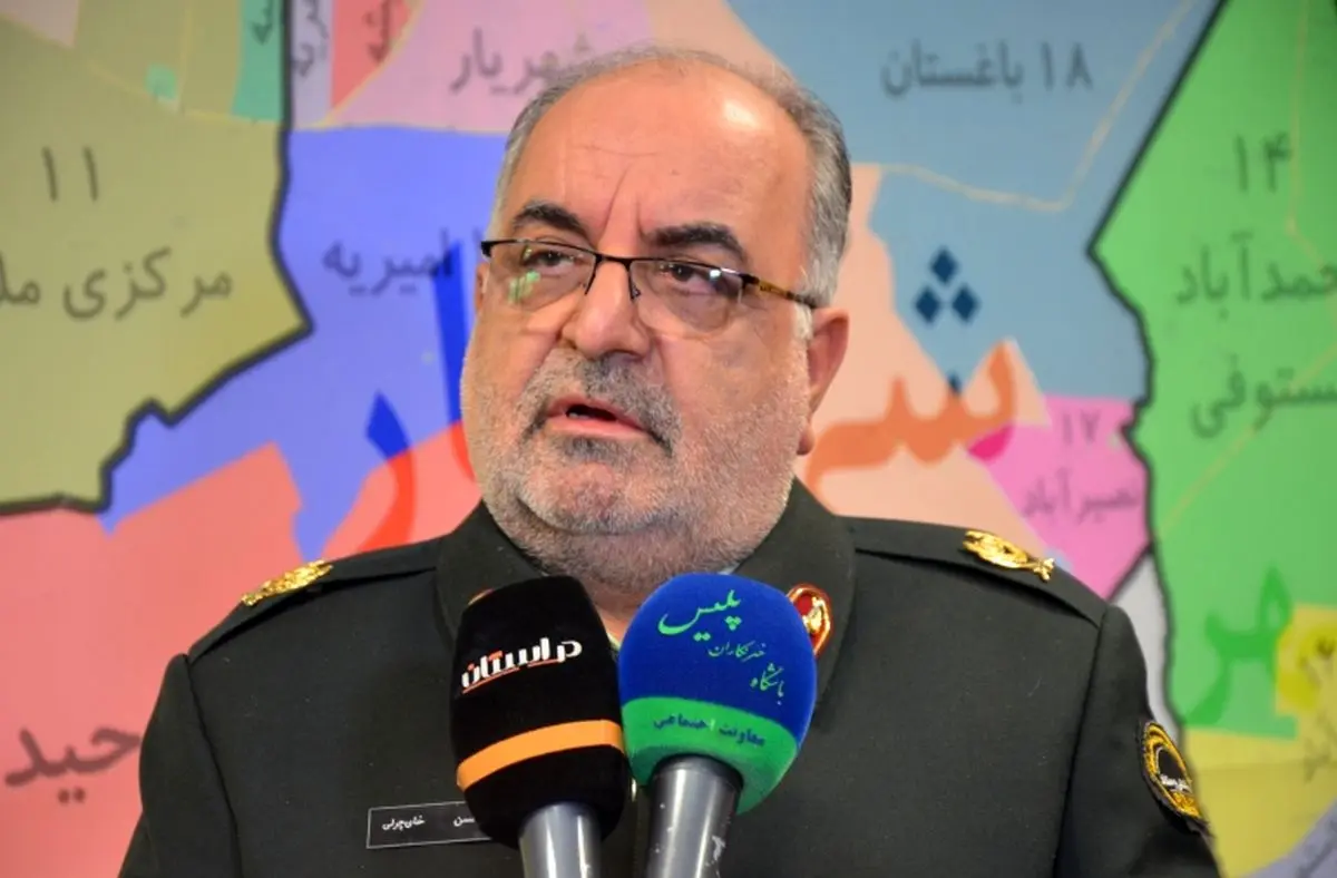 دستگیری سارقان منازل ملارد
