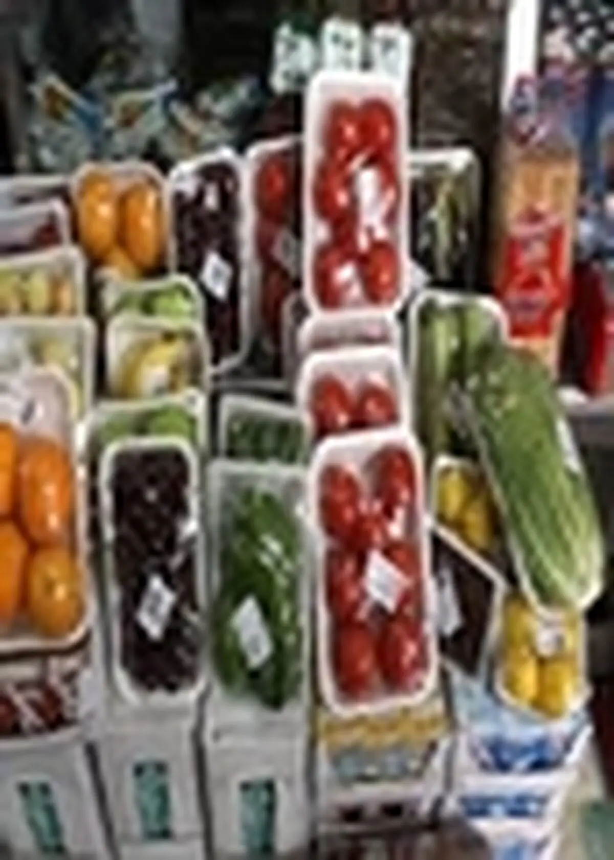کارگاه آموزشی فرآوری و بسته بندی محصولات غذایی در شهرستان املش برگزار شد