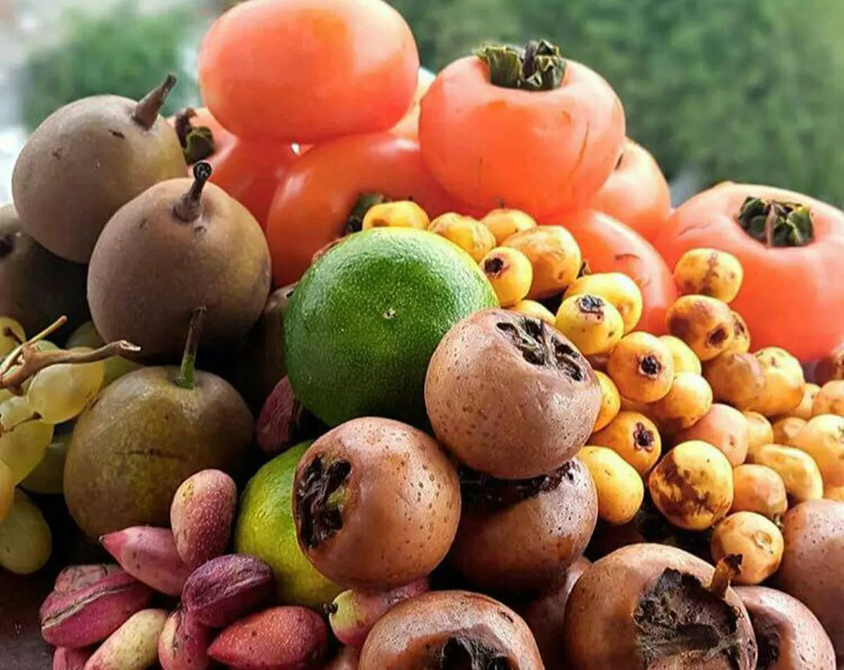 خواص ۹ میوه شگفت‌انگیز پاییزی + اینفوگرافی