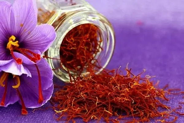  221 tons of Iranian saffron were exported to 55 countries