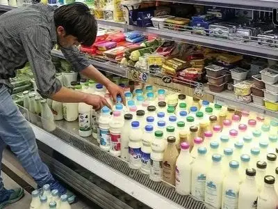 «لبنیات نخرید» به تولیدکنندگان چقدر ضرر زد؟