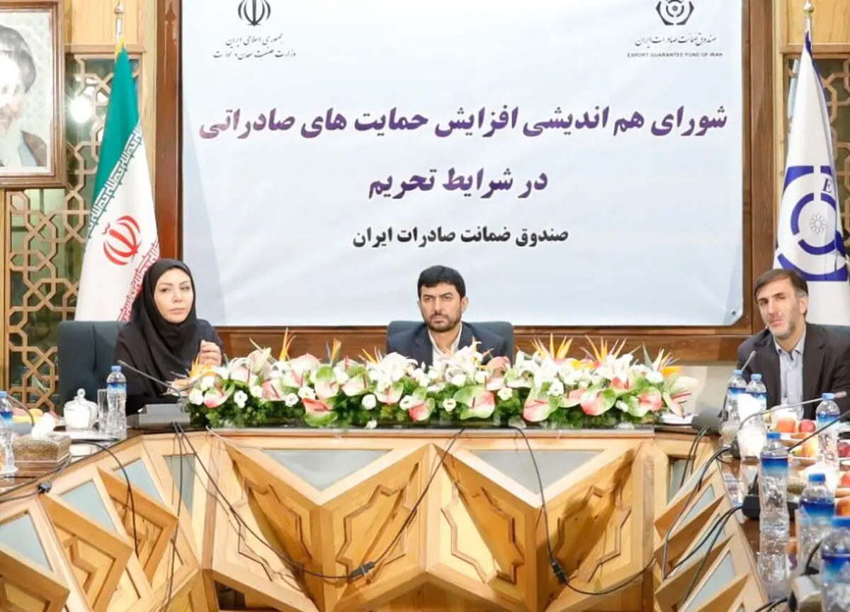 نگرانی عمده صادرکنندگان ریسک‌های سیاسی و تجاری است/ اساسنامه صندوق ضمانت صادرات باید اصلاح شود
