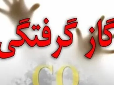 منواکسید کربن جان ۴ نفر را گرفت/۹۱ نفر مسموم راهی بیمارستان شدند 