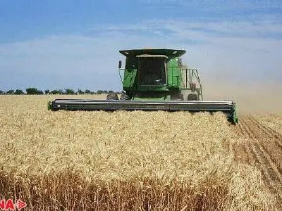 Iran is ready to export wheat