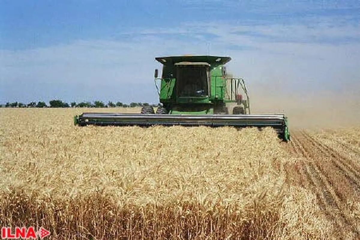 Iran is ready to export wheat