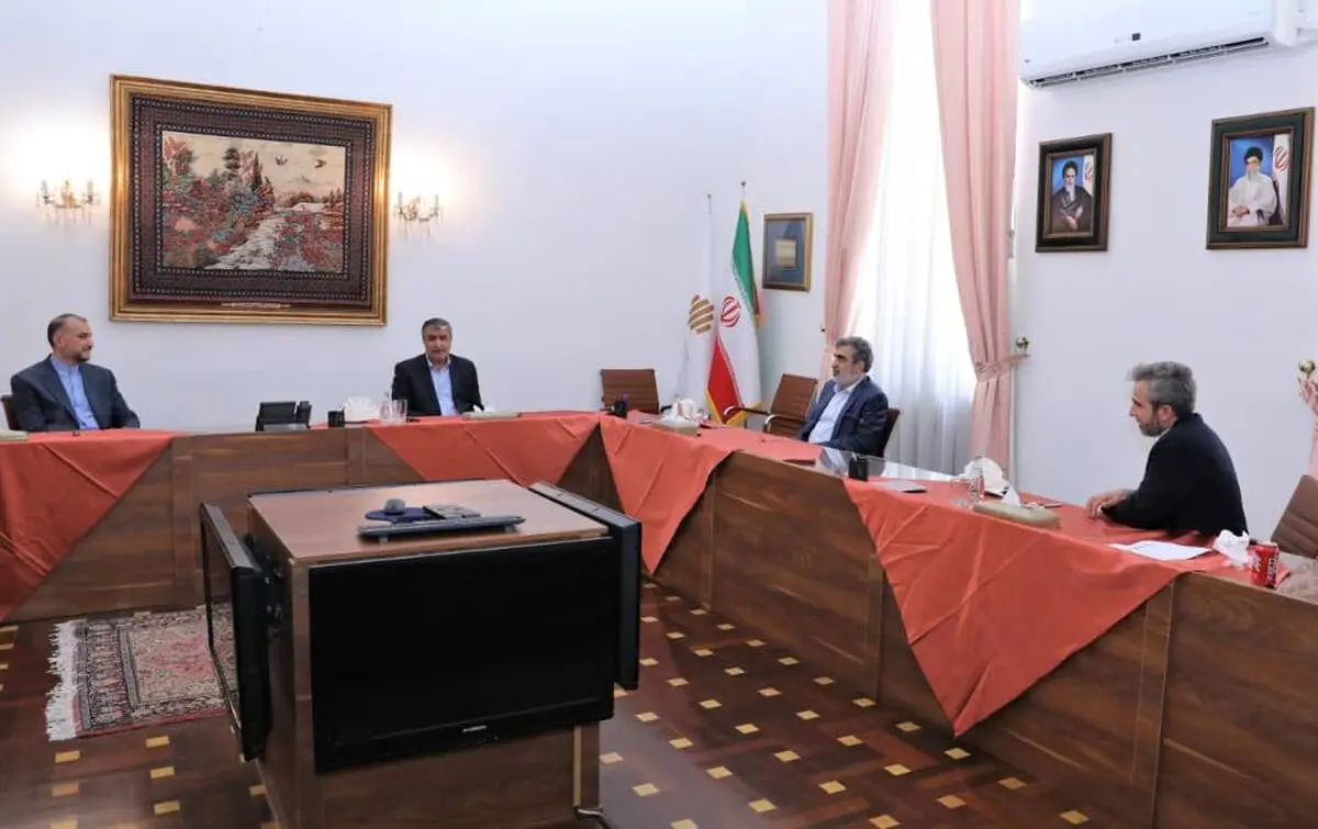 نشست مشترک رئیس سازمان انرژی اتمی با امیرعبداللهیان
