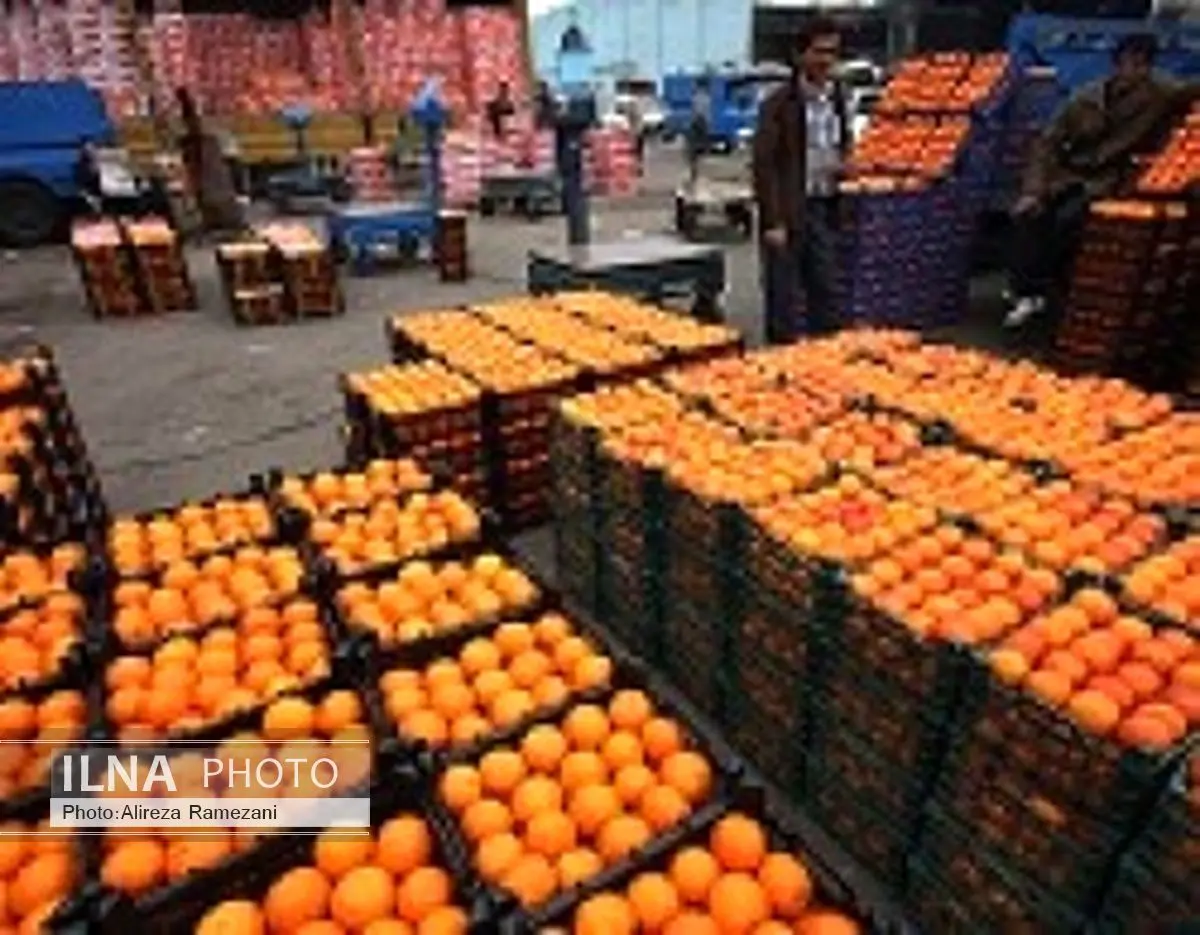 برنامه تعاون روستایی ایران برای ذخیره سازی 40 هزار تن میوه شب عید