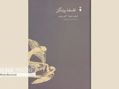 فلسفه پرندگان منتشر شد/ ستایشی از دوستان آسمانی‌مان