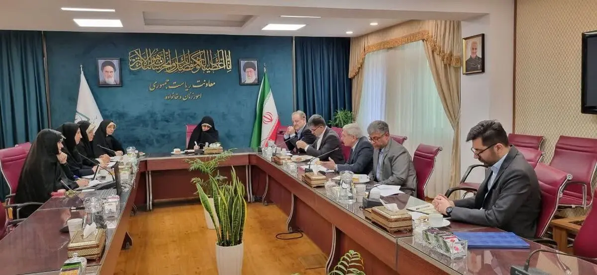 صدور ۱۶۳ ضمانت نامه اعتباری با اعتبار ۱۲ میلیارد تومانی برای زنان سرپرست خانوار