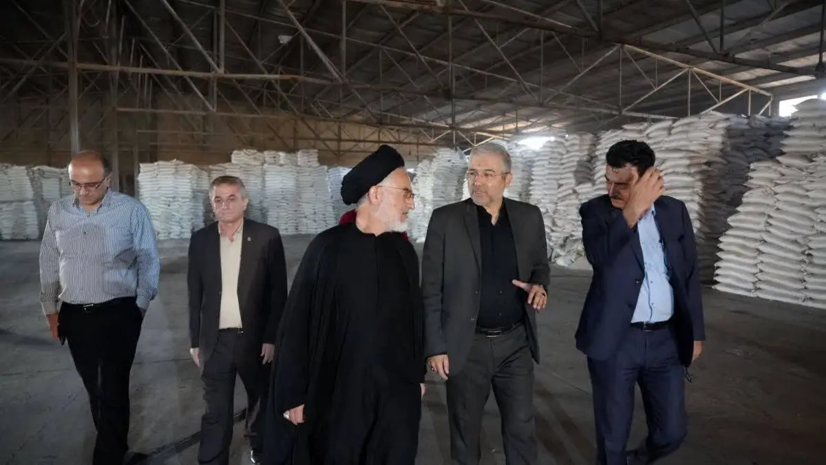 دولت باید روند خرید تضمینی گندم را اصلاح کند