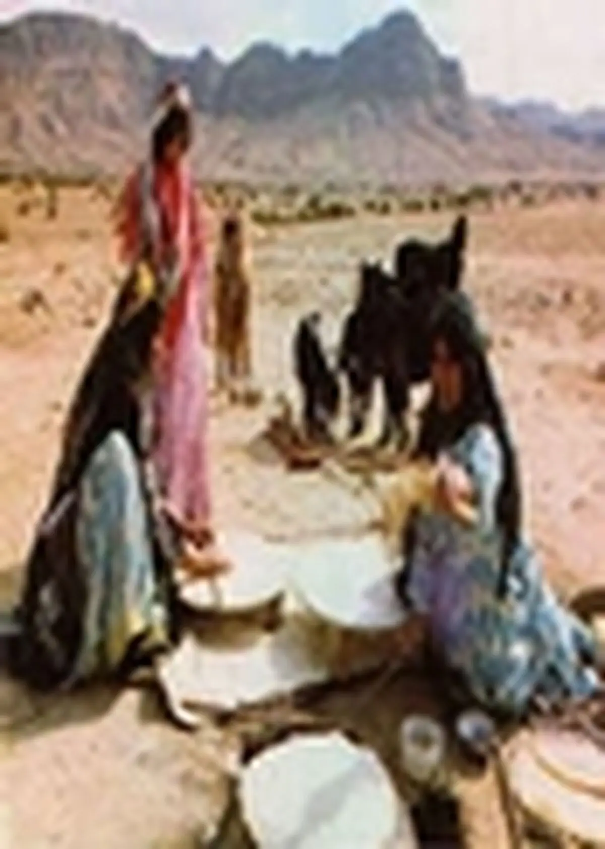 سرانه آرد عشایر ماهانه ۱۰ کیلوگرم شد
