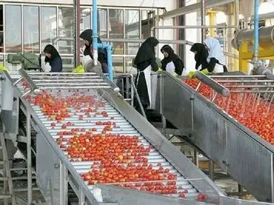 اشتغال بیش از ۸ هزار نفر در بخش صنایع تبدیلی و غذایی آذربایجان‌غربی