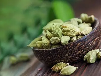۱۰ خاصیت شگفت‌انگیز هل در طب سنتی