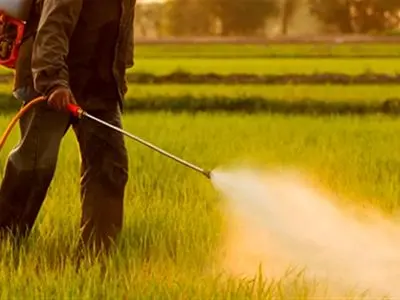 سموم پرریسک از چرخه مصرف کشاورزی حذف می‌شود