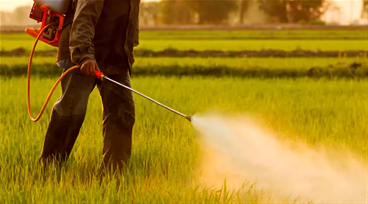 سموم پرریسک از چرخه مصرف کشاورزی حذف می‌شود