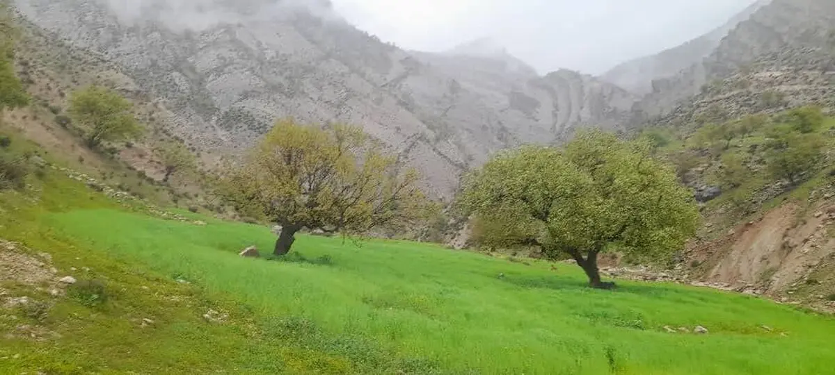 تیشه صنعت و معدن بر پیکر منابع طبیعی شمال خوزستان/ دره برفی تازه‌ترین قربانی کوه خواری در دزپارت