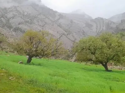 تیشه صنعت و معدن بر پیکر منابع طبیعی شمال خوزستان/ دره برفی تازه‌ترین قربانی کوه خواری در دزپارت