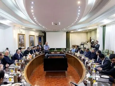 وزیر کشور پاکستان با وزیر نفت دیدار کرد