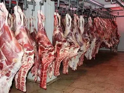 قیمت گوشت گوساله امروز ۱۹ آبان ۱۴۰۳ 