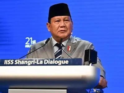  We are ready to send peacekeeping forces to Gaza to implement the ceasefire: Indonesia
