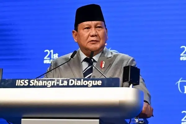  We are ready to send peacekeeping forces to Gaza to implement the ceasefire: Indonesia
