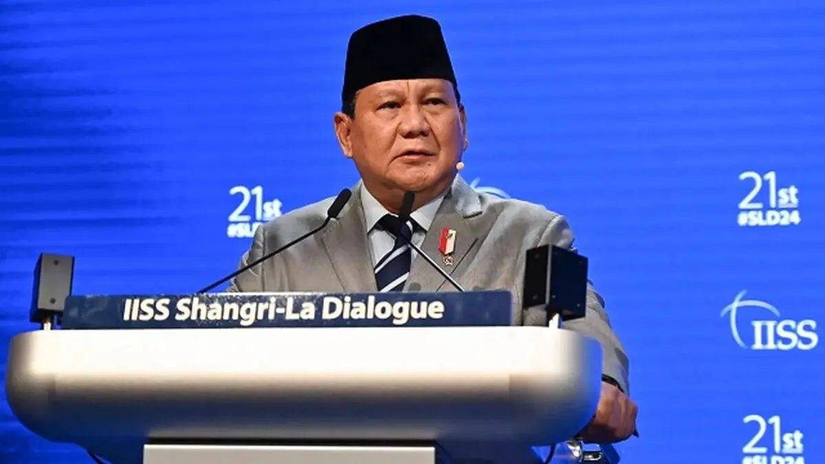 We are ready to send peacekeeping forces to Gaza to implement the ceasefire: Indonesia
