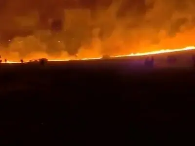 آتش‌سوزی گسترده در اطراف قدس همچنان ادامه دارد + فیلم