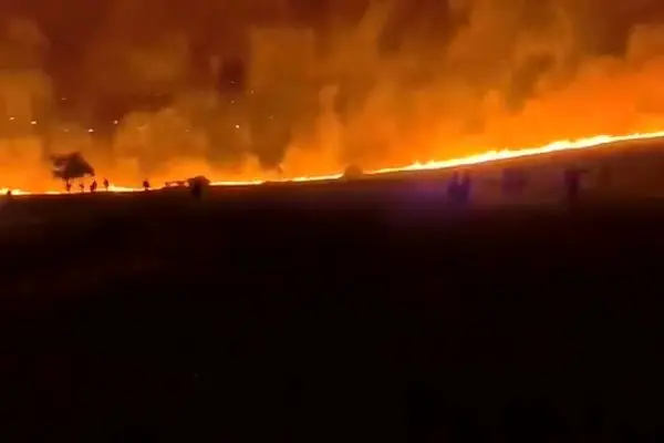 آتش‌سوزی گسترده در اطراف قدس همچنان ادامه دارد + فیلم