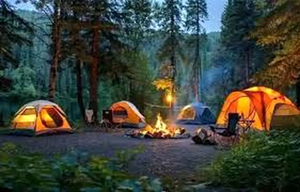 اقامت شبانه در جنگل‌های آمل ممنوع شد/تشدید گشت‌های شبانه‌روزی