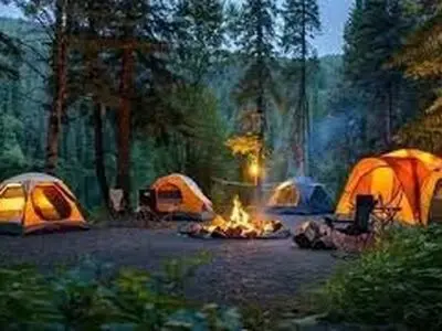 اقامت شبانه در جنگل‌های آمل ممنوع شد/تشدید گشت‌های شبانه‌روزی