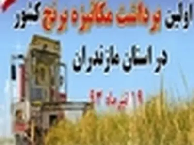 اولین برداشت مکانیزه برنج کشور فردا در فریدون‌کنار