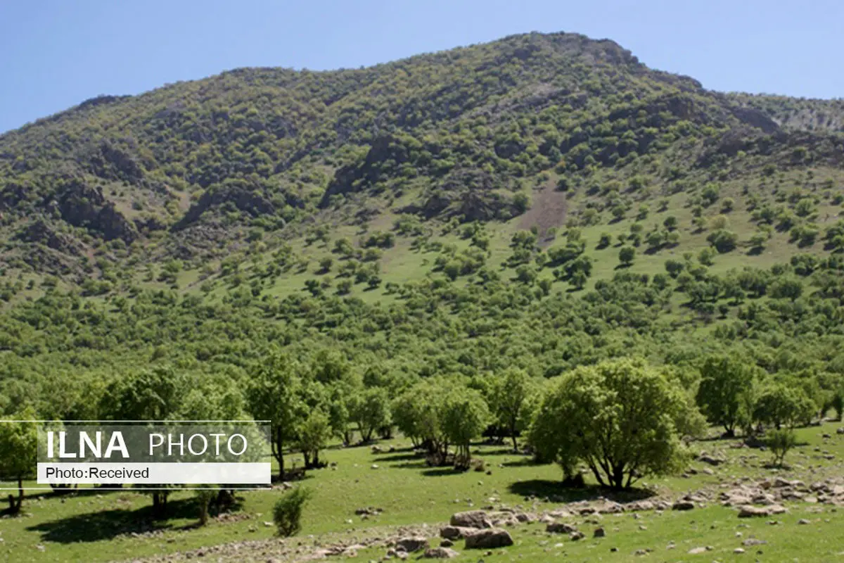 صیانت از منابع طبیعی باید در جامعه فرهنگ سازی شود